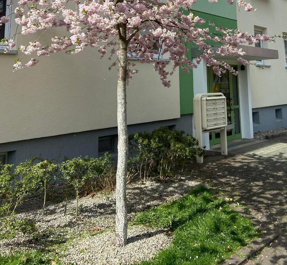 Schoene Kleine Wohnung Cottbus Exterior foto